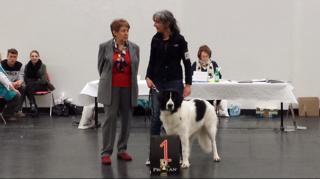 10933233 824652824247322 96887371 n