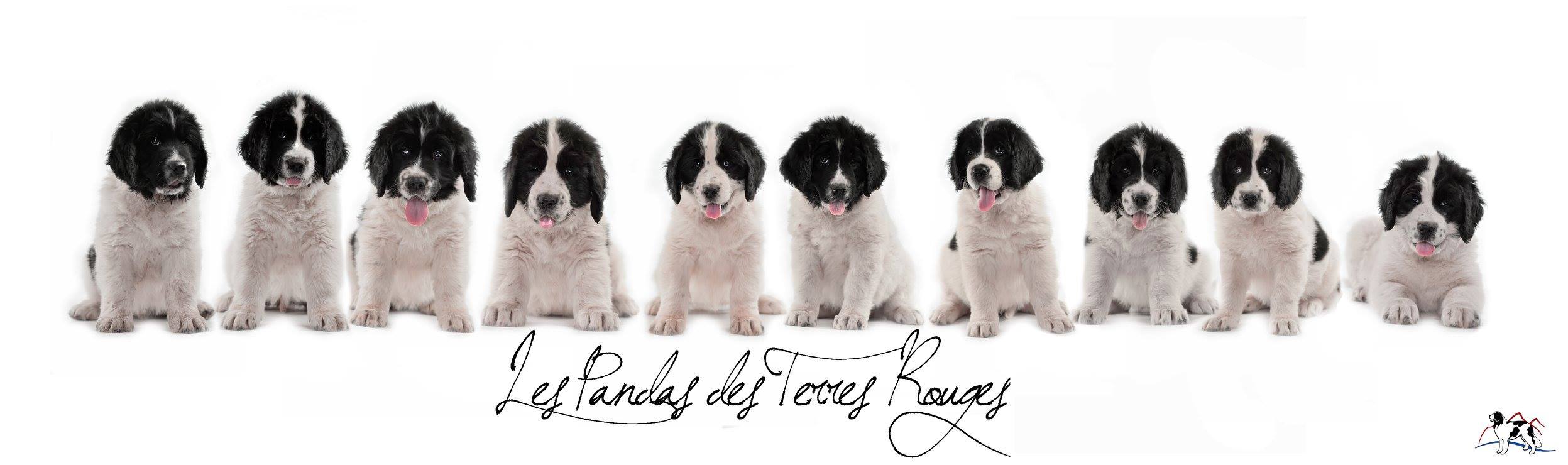 18766442 10212736892398601 8704860559419038219 o