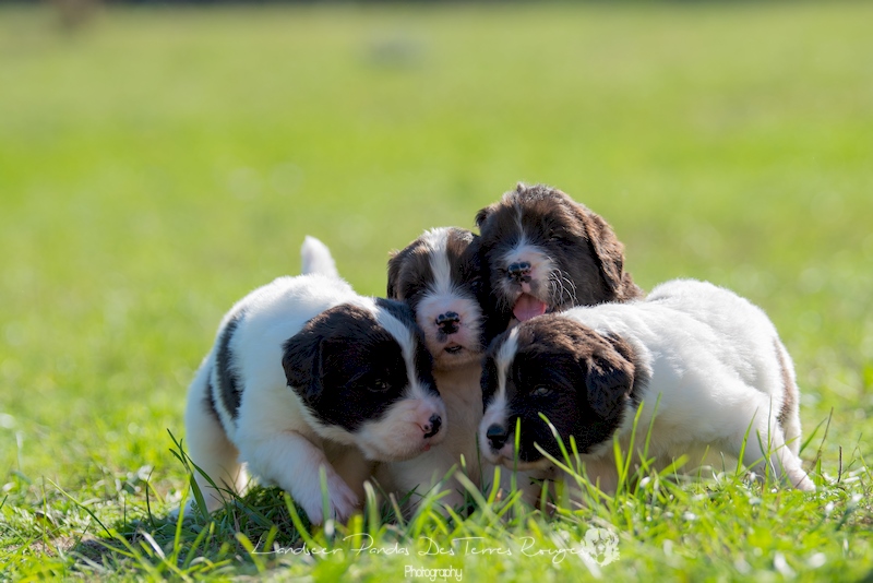 28092023 DSC7541 Copier