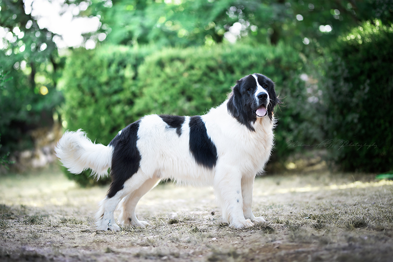  DSC0262 1socialsrgbredim