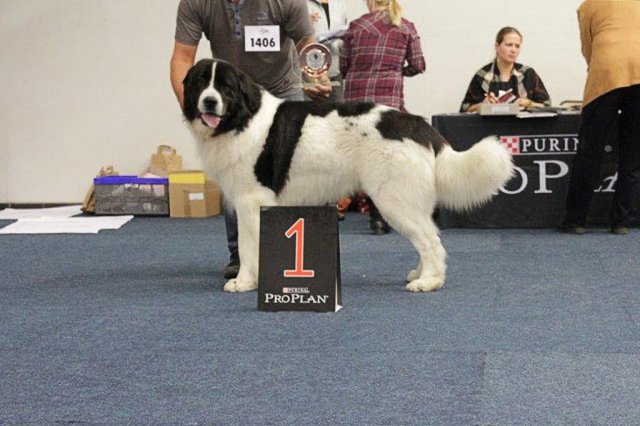 phoca thumb l img 0165