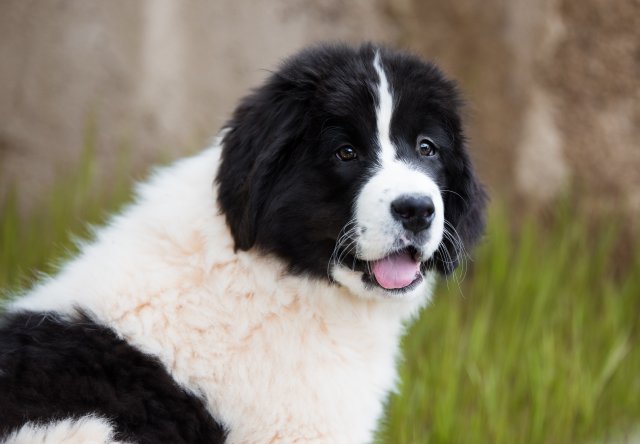 phoca thumb l 09042019 DSC 5542 Modifier