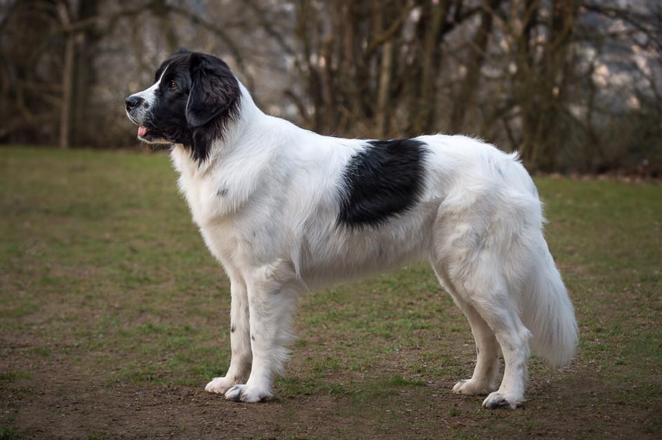 1477919 868582539854350 3872971335886075441 n