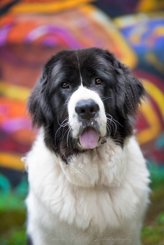  DSC7562 1socialsRGBredim