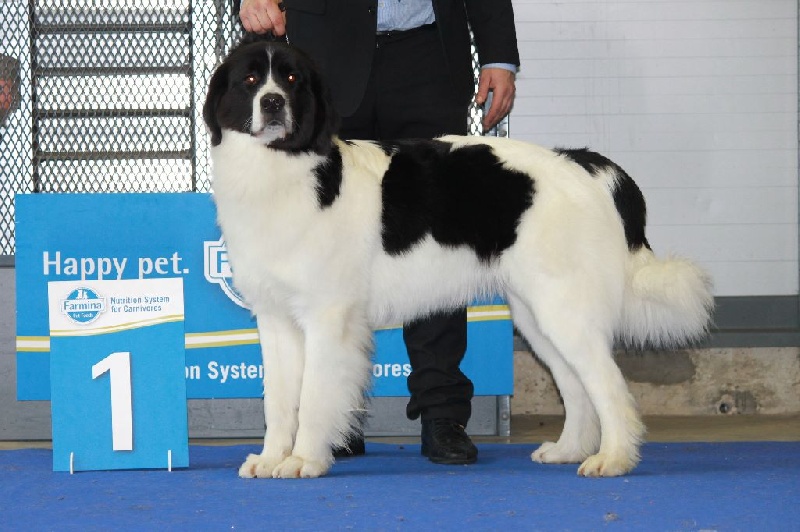 hermione des gros calins