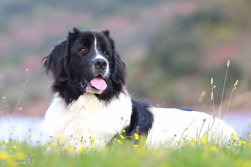 12800103 10153961986369281 4130405966538667225 n